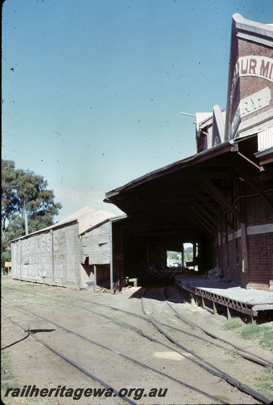 P14375
Sidings, leading into the Peerless Flour Mill, Guildford, trackside view.
