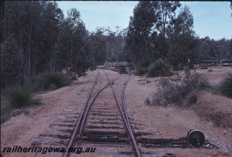 P14418
Siding, point lever, track leading into the siding at Chadoora, PN line, view along the line
