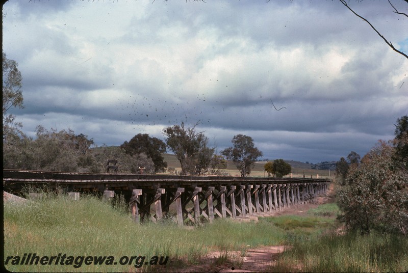 P14432
Trestle bridge, over the Avon River near York, YB line, view along the bridge.
