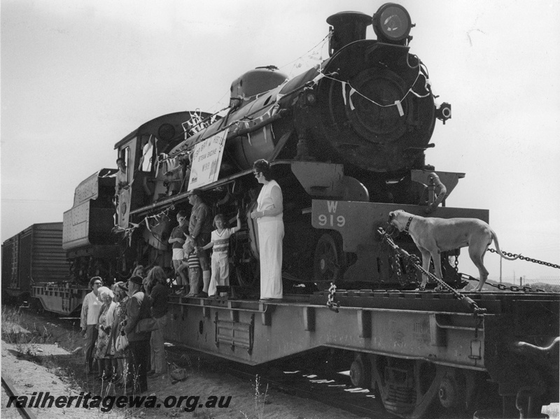 P14502
W Class 919 on WFL Class standard gauge transfer wagon, Esperance Yard, CE line, loco arriving for display at the Esperance Museum, side and front view
