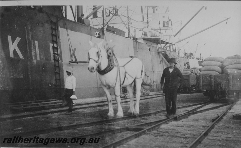 P14510
Charlie Stewart with his horse 