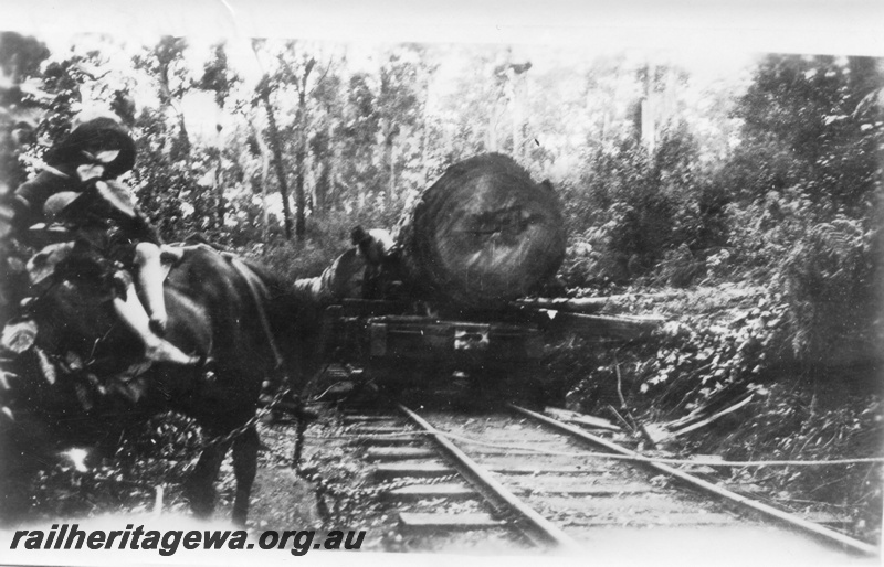 P14527
Bush landing, log on a wagon end on view
