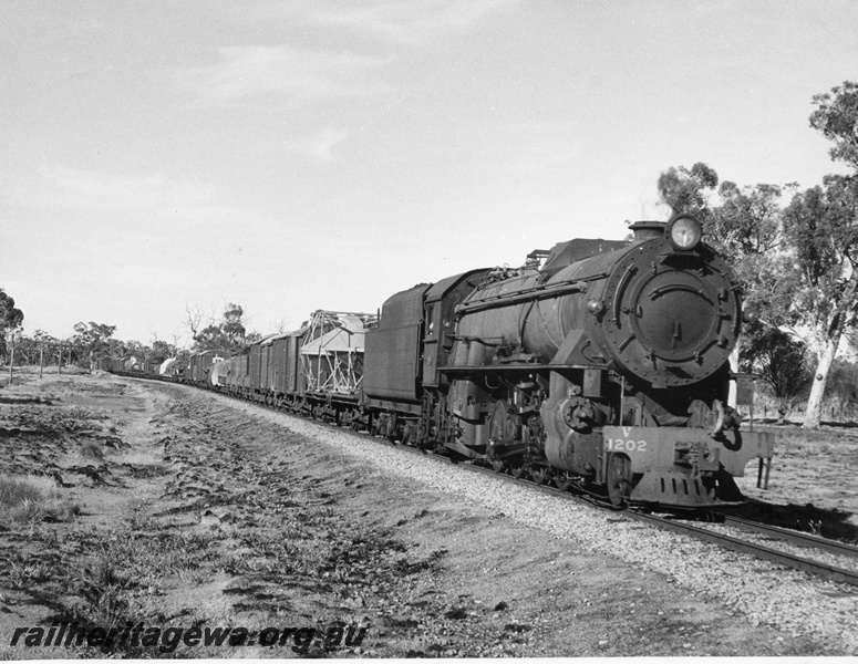 P14583
V class 1202, GSR line, goods train
