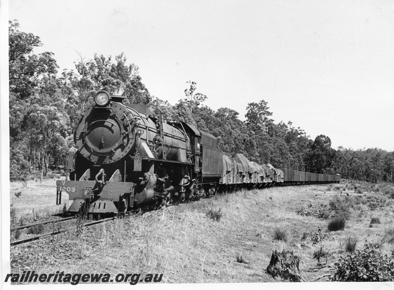 P14584
V class 1203 on Bunbury to Collie goods near Moorhead, BN line. goods train
