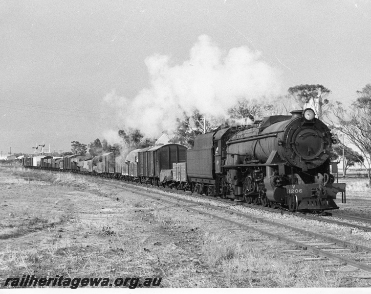 P14587
V class 1206, Katanning, GSR line, bound for Albany on No. 11 Goods, goods train
