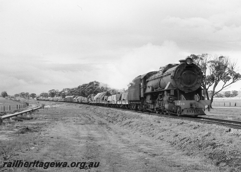 P14591
V class 1209, location Unknown, goods train
