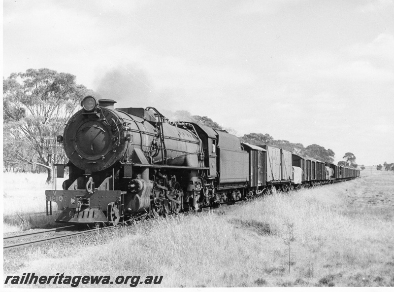 P14592
V class 1210, location Unknown, goods train.
