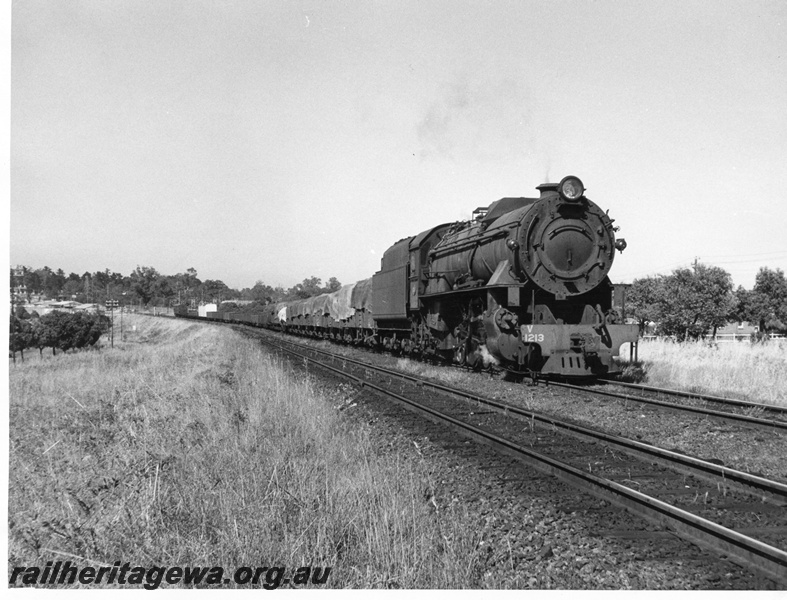 P14594
V class 1213, Daglish, ER line, goods train
