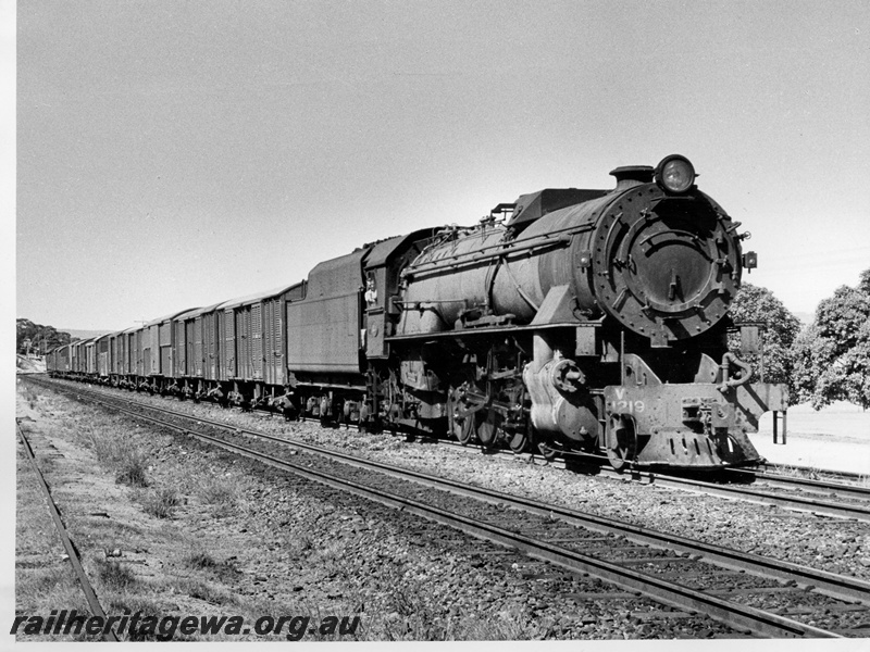 P14601
V class 1219, location Unknown, goods train
