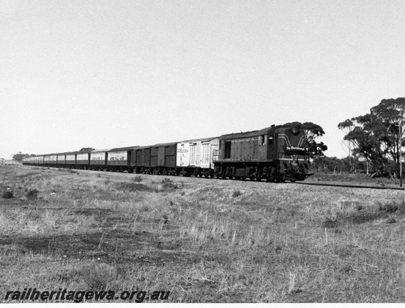 P14668
C class 1702, heading 