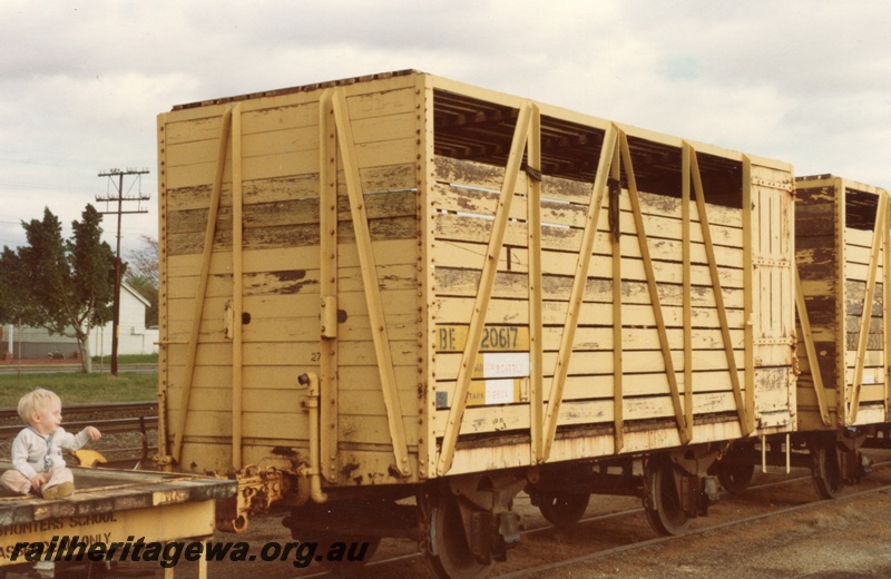 P14731
BE class 20617 cattle wagon in yellow livery, end and side view, Bassendean, ER line
