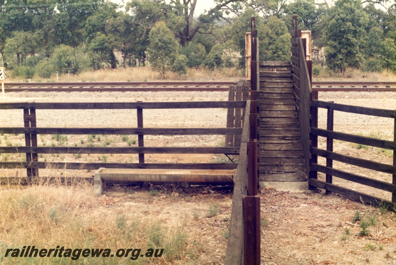 P14753
1 of 8 images of the stockyard at Mundijong, SWR line, view looking up the loading ramp
