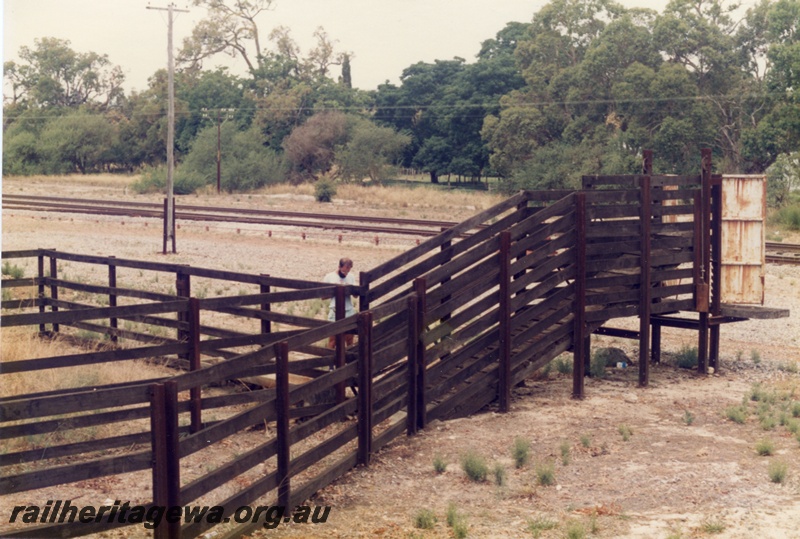 P14756
4 of 8 images of the stockyard at Mundijong, SWR line. Loading ramp
