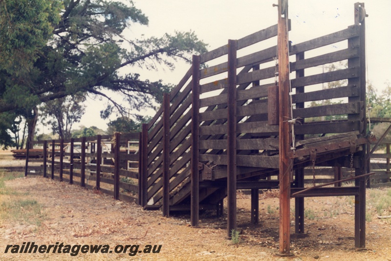 P14758
6 of 8 images of the stockyard at Mundijong, SWR line, loading ramp, side and end view
