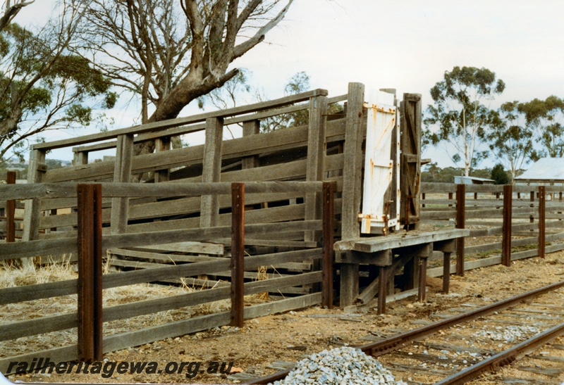 P14761
1 of 2 images of the stockyard at Beverley. GSR line, view of the loading ramp from the track side
