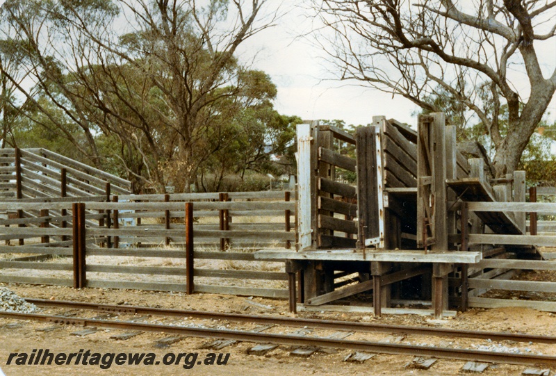 P14762
2 of 2 images of the stockyard at Beverley. GSR line, trackside view.
