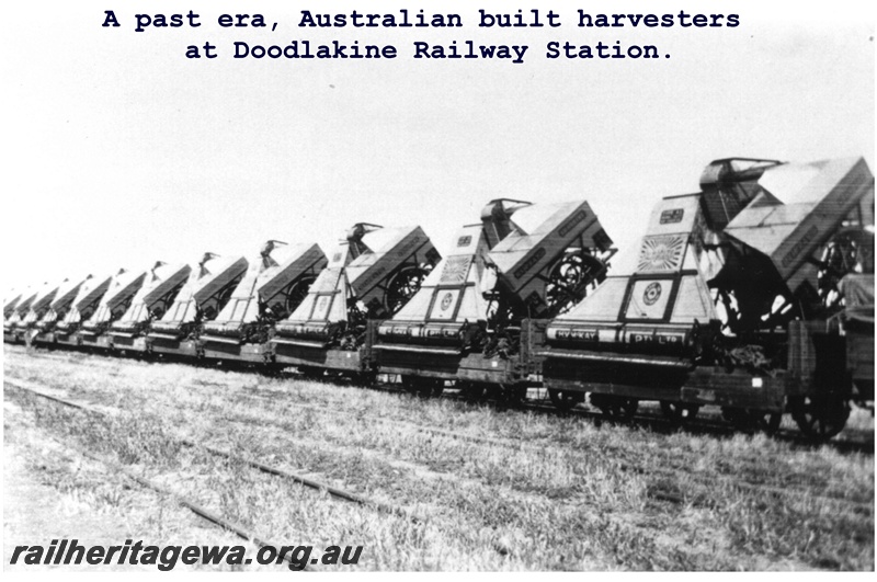 P14843
Australian built harvesters loaded onto wagons, Doodlakine, EGR line.
