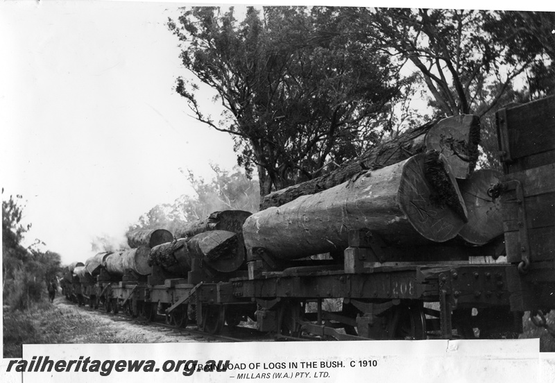 P14863
A train load of logs in the bush, c1910

