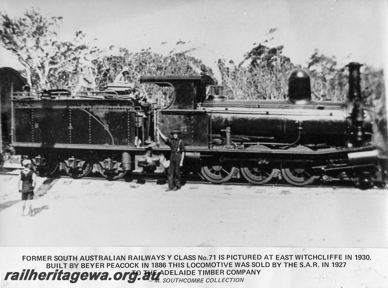 P14864
Adelaide timber Company Y class 71 steam locomotive, side view, East Witchcliffe.
