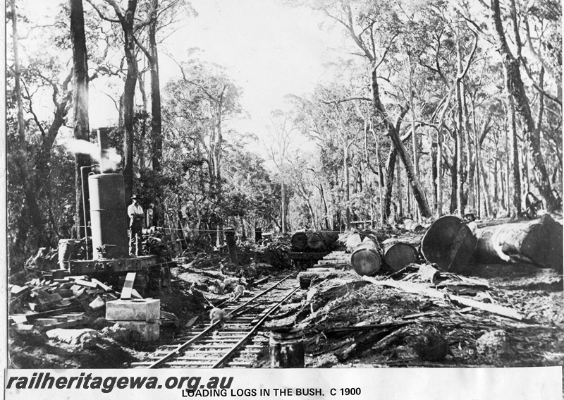 P14871
Loading logs in the bush at a log landing, vertical steam boiler winch, steel cable, whim, small water tanks, loaded truck, workmen, location Unknown.
