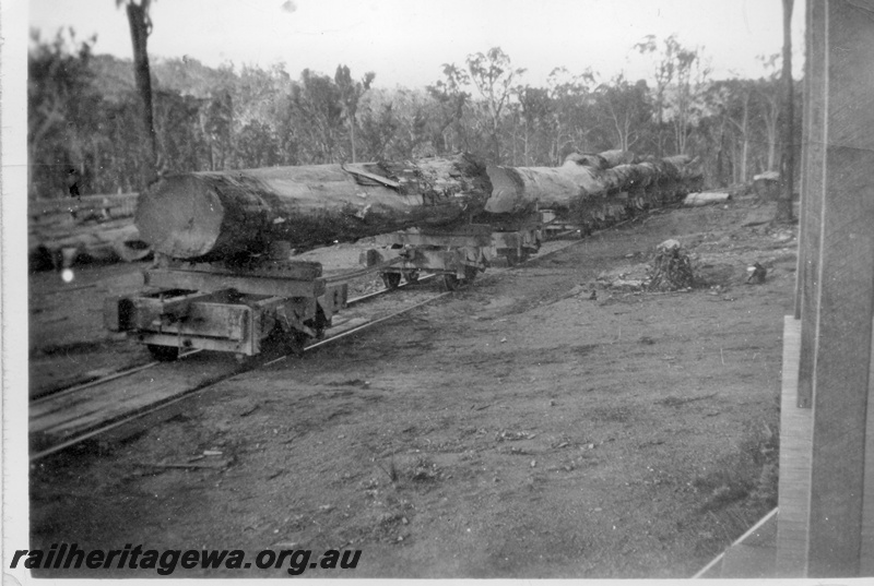 P14924
Log landing with train of 50ft long logs on the jinkers bound for the mill at Nyamup
