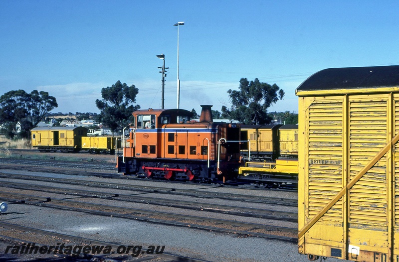 P14956
T class 1802, Narrogin yard, GSR line, view across the yard
