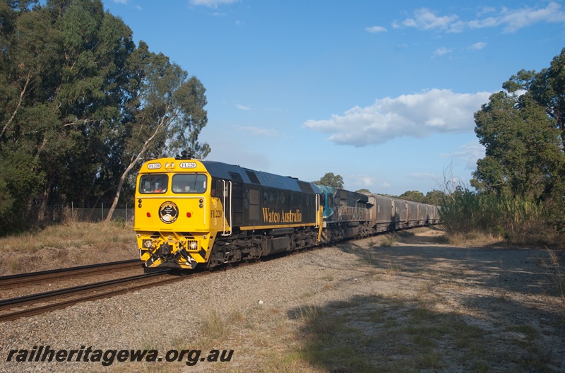 P14967
Watco loco FL class 220 double heading with CBH class 120 on standard gauge grain train, Swan View, view long the train
