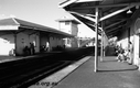 Filename=P14810.jpg
Filesize=154KiB
Dimensions=800x504
Date added=Jun 29, 2017 P14810.jpg