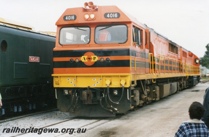 P15004
Q class 4016 in AR ownership, at Railfest, Rail transport museum. Front and side view
