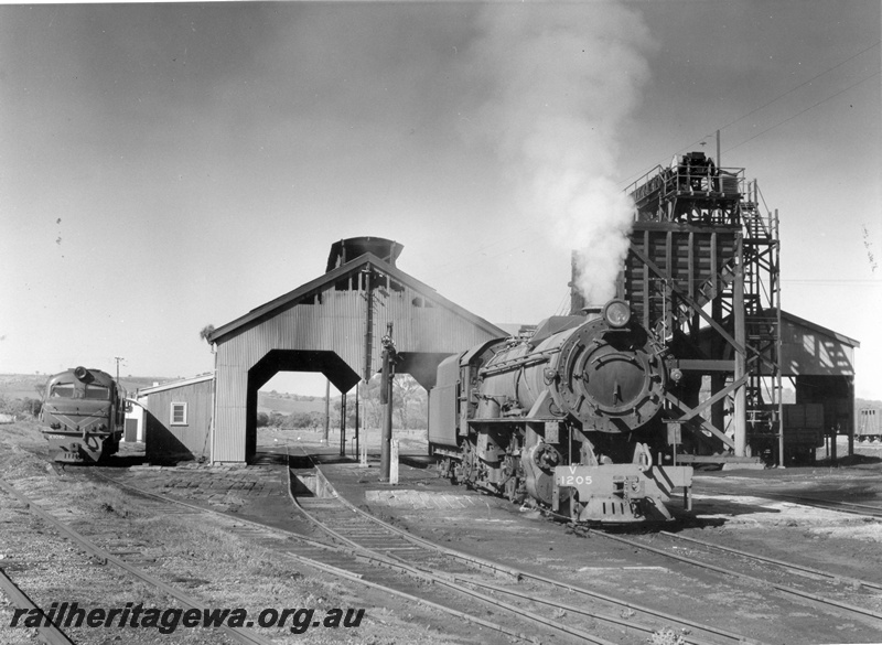 P15105
V class 1205 steam locomotive and X class 1010 