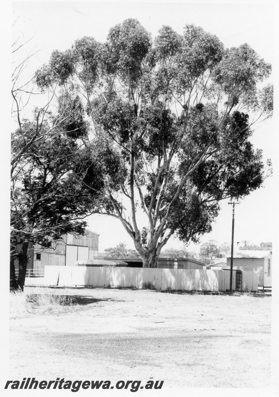 P15162
1 of 8 views of the gangers shed compound at York, GSR line, overall view of the area showing the fence of corrugated iron surrounding the shed
