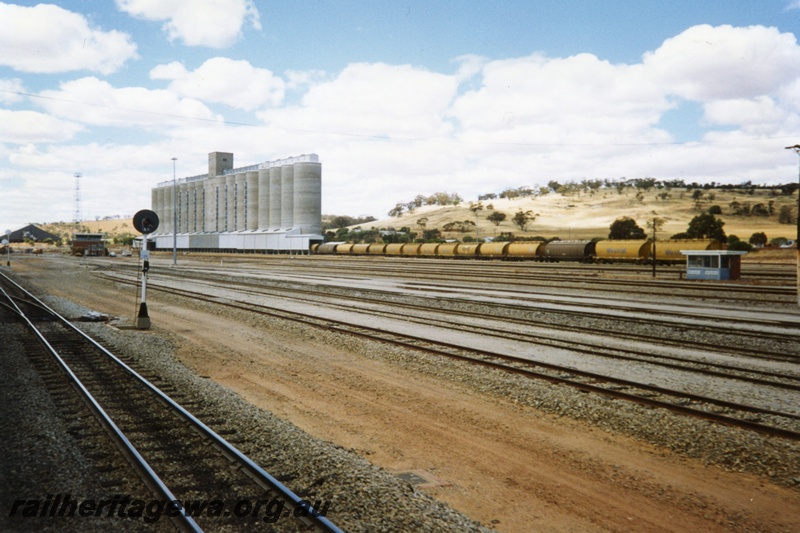 P15307
Rake of wheat wagons, wheat silos, tracks, light signal, Avon yard, near Northam
