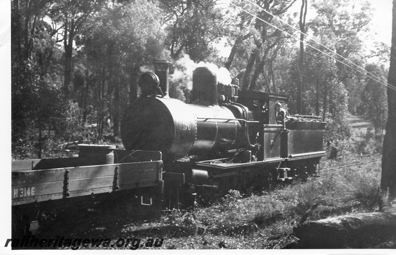 P15392
YX class 176 steam locomotive working on the Donnelly River to Yornup timber line. This locomotive was formerly a South Australian Railways 'YX' class. H class 3146 low sided wagon is behind the front of the locomotive. The tender is loaded with wood for the fire. 
