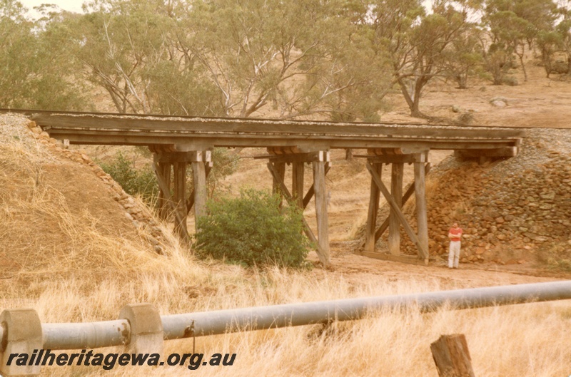 P15450
Four span trestle bridge, ten kilometres south of York near the intersection of the Great Southern Highway and Ovens Road, GSR line, view of the east side of the bridge
