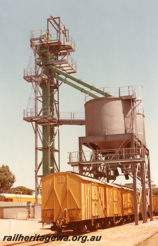 P15467
Rake of DC class vans under the grain loading plant, Bolgart, CM line, view along the wagons
