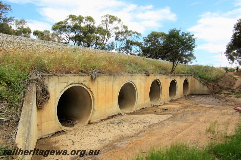 P15486
Five pipe culvert, ten kilometres south of York near the intersection of the Great Southern Highway and Ovens road, GSR line, west side, taken from the same position as P15451
