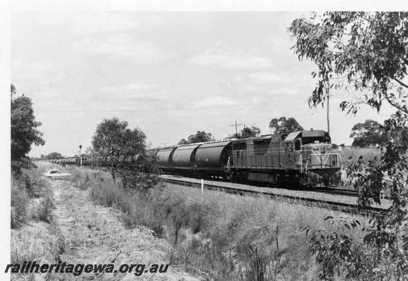 P15497
An unidentified L class heads a grain train through Hazelmere at 11.19 am northwards towards Midland
