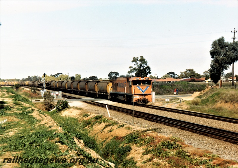 P15514
A P class loco hauls a wheat train northwards through Hazelmere over the West Parade level crossing.
