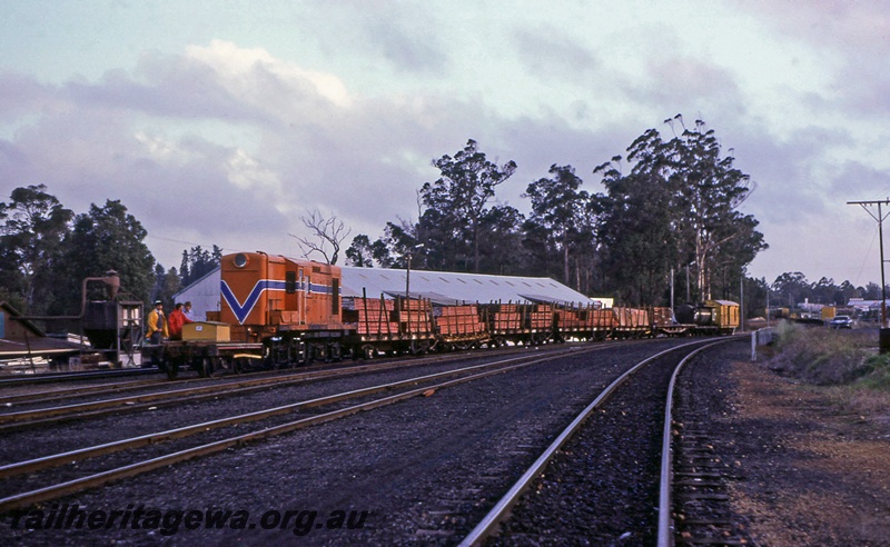 P15649
An unidentified Y class in the Westrail orange with blue stripe livery hauls a timber train through the yard at Manjimup, PP line, view along the train.
