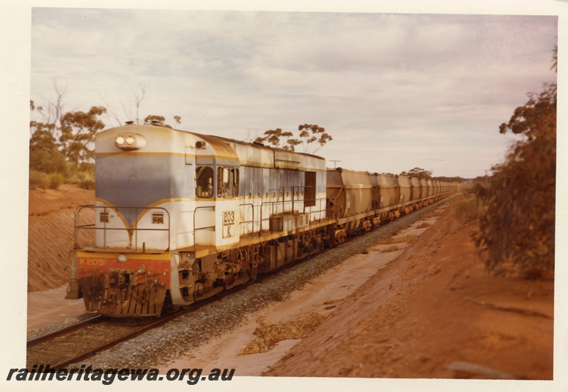 P15873
K class 203, in light blue with dark blue and yellow stripe livery, on a freight train, passing through shallow cutting, front and side view
