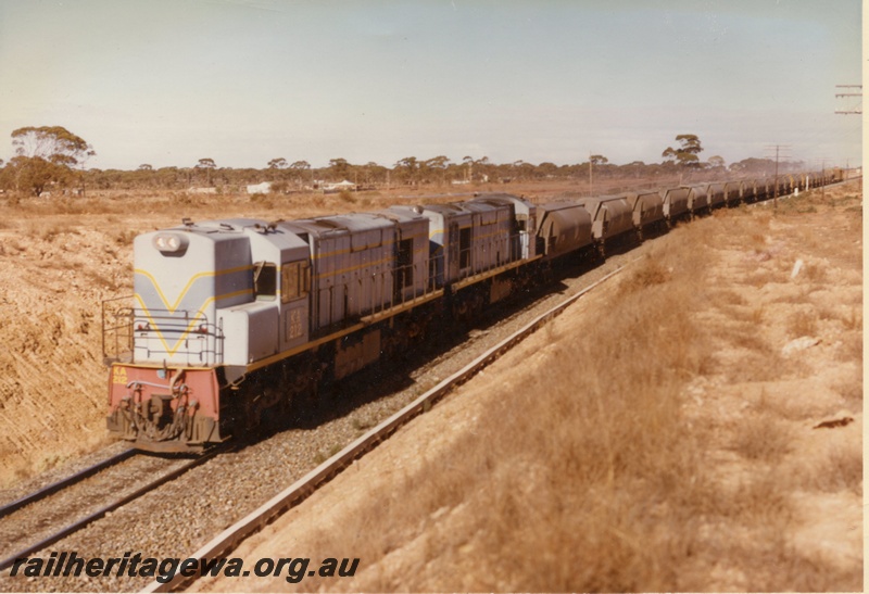 P15912
KA class 212, with another diesel loco, both in light blue with dark blue and yellow stripe livery, double heading a nickel train from Windarra and Malcolm, standard gauge KL line, front and side view
