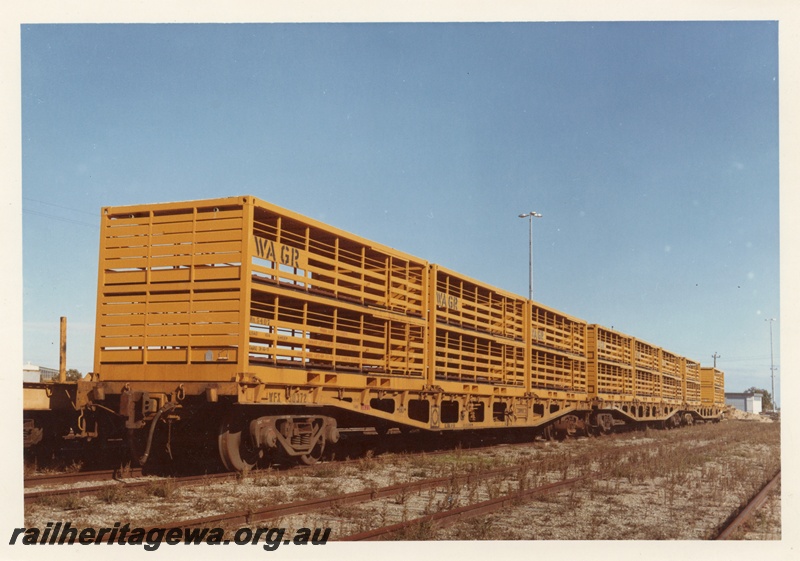 P16046
WFX class 30372 standard gauge bogie flat wagon, later reclassified WQCX, with sheep containers including No 5407, other WFX class wagons with containers, end and side view, colour version of P13720
