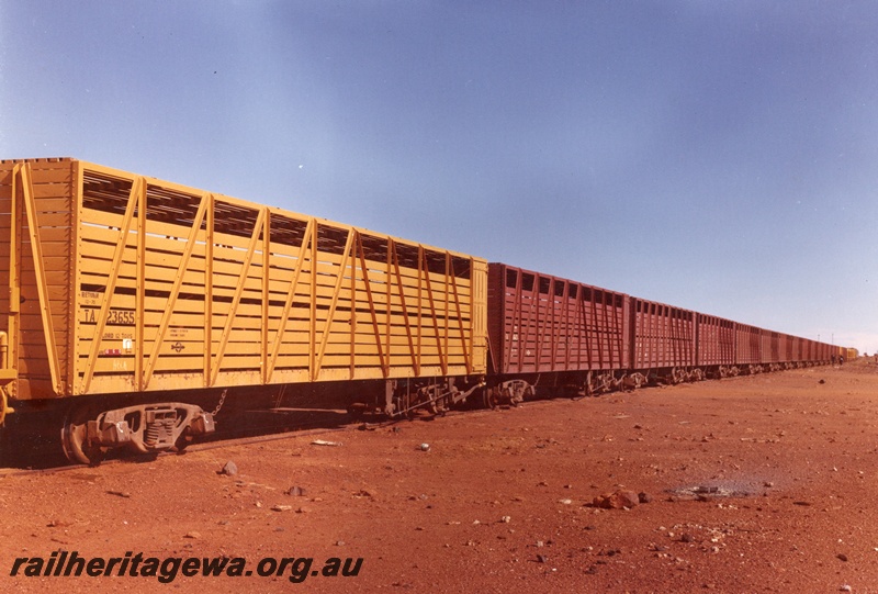 P16047
Rake of TA class cattle wagons including TA class 23655 in yellow paint, end and side view
