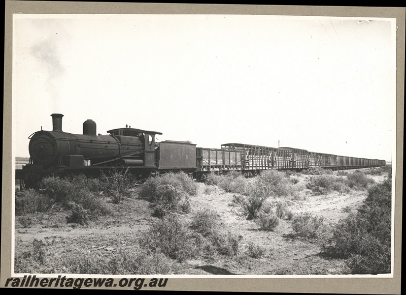 P16190
Commonwealth Railways (CR) (CR) KA class 47 heading west on a livestock train consisting of cattle wagons, TAR line.
