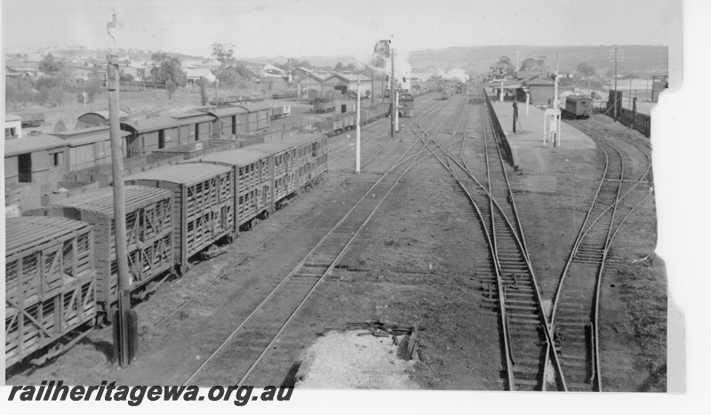 P16213
Rakes of vans, wagons and livestock wagons in station yard, goods shed, bracket signal, scissors crossover, station building, platform, signal, sidings, Northam, ER line
