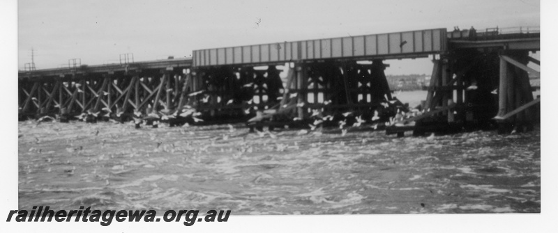P16218
Rail bridge of wood and steel, Swan River, Fremantle, ER line. The steel girders were installed after the wooden supports were washed away in the 1926 floods.
