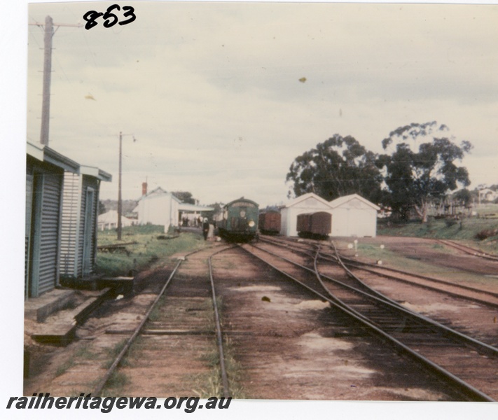 P16286
A tour train at Toodyay station with the goods shed at the right and gang sheds on the left.
