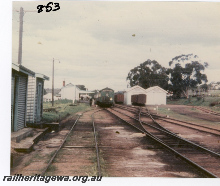 P16286
A tour train at Toodyay station with the goods shed at the right and gang sheds on the left.
