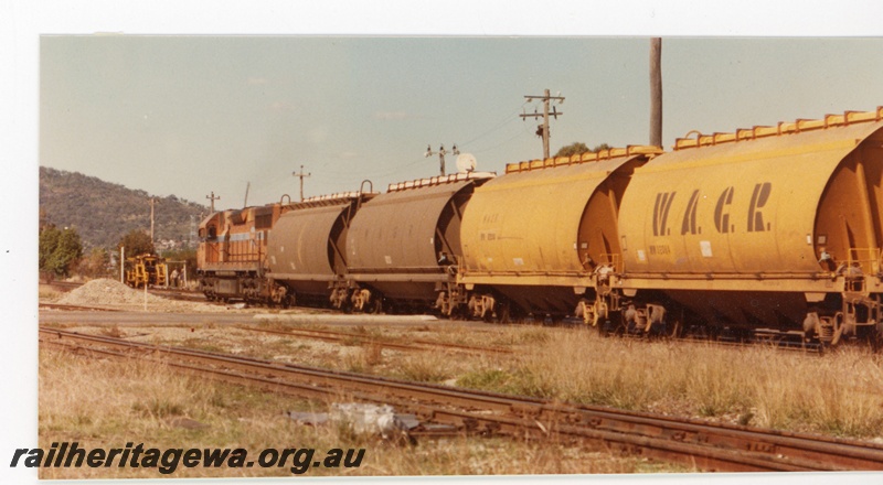 P16387
L class loco in Westrail orange with blue and white stripe, on wheat train comprising WW class hopper wagons, Midland, ER line, side view
