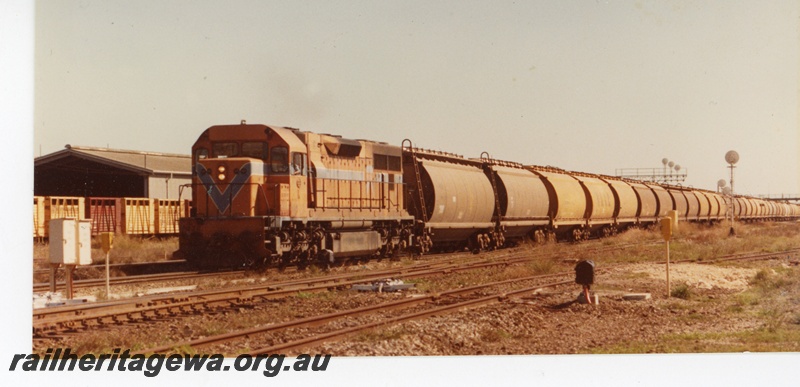P16394
L class 272, on freight train, rake of livestock wagons, shed, disc signals, front and side view
